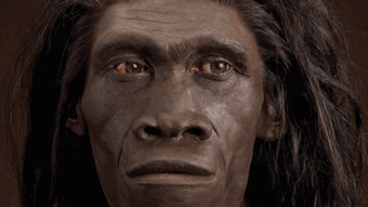 "Lịch sử rung chuyển" vì 150 vật lạ của vượn người 1,4 triệu tuổi