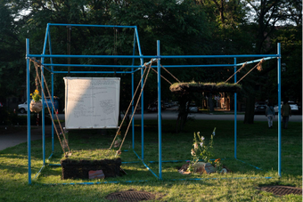 "The Grass Ceiling - Tác phẩm "Trần nhà cỏ" của nghệ sĩ Việt Nam Vince Phan tại Mỹ và lời xin lỗi cỏ cây đáng suy ngẫm
