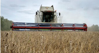 Ước tính thiệt hại của Ukraine do lệnh cấm nông sản của Đông Âu