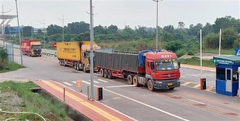 Quảng Ninh: Xuất khẩu tôm hùm trở lại bình thường ở Móng Cái