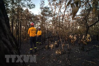 Bang Victoria của Australia ban bố hàng loạt cảnh báo cháy rừng