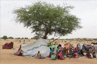 Khoảng 5,5 triệu người Sudan phải rời bỏ nhà cửa đi lánh nạn