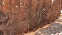 Phát hiện những bức chạm khắc lạc đà bí ẩn trên đá