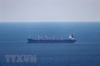 Thêm 12 tàu đi vào hành lang Biển Đen hướng tới các cảng Ukraine
