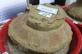 Lập hồ sơ Di sản Thế giới đối với Di tích Khảo cổ Văn hóa Sa Huỳnh