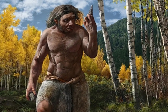 Phục dựng thành công chân dung loài người tuyệt chủng 146.000 năm trước