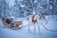 Rovaniemi Phần Lan - Xứ sở tuyết diệu kỳ giữa lòng Bắc Cực