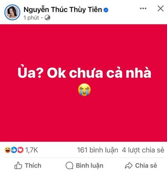 Hoa hậu Thùy Tiên than thở vì Facebook bị lỗi, Quang Linh thật sự là ''hacker''