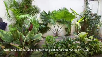 Nhà ống Sài Gòn với một nửa diện tích làm sân vườn