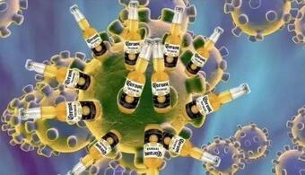 Phát hiện mới: Bia có lợi ích không ngờ! Một chai mỗi ngày thực sự có thể làm tăng sự đa dạng của vi khuẩn đường ruột!