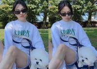 Song Hye Kyo 43 tuổi dắt chó đi dạo và gây sốt với cách mặc mới: Áo nỉ + quần short, vừa thời trang vừa đậm phong cách phương Tây