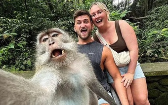 Bức ảnh khỉ đuôi dài selfie gây sửng sốt