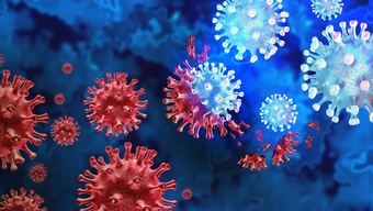 Giới khoa học cảnh báo virus gây đại dịch tiếp theo