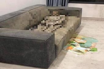 Điều tra thi thể nữ giới &#39;chết khô&#39; trên sofa trong căn hộ cao cấp