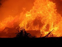 Bình Dương: Ngọn lửa bao trùm bãi chứa pallet ngoài trời