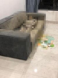 Nguồn cơn phát hiện thi thể cô gái trên sofa ở Hà Nội sau hơn 1 năm tồn tại là từ đâu?