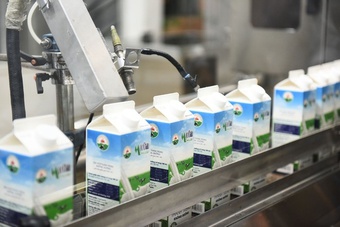 Lợi nhuận của thương hiệu sữa lâu đời nhất Việt Nam chạm đáy 3 năm
