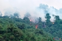 Xác định được 3 người đốt thực bì gây cháy rừng ở Nghệ An