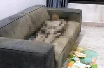 Cô gái tử vong trên ghế sofa ở Hà Nội gần 2 năm: Đệm ghế khiến thi thể khô dần?