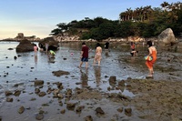 Du khách giẫm đạp san hô khi ra biển Nha Trang mò cua, bắt ốc