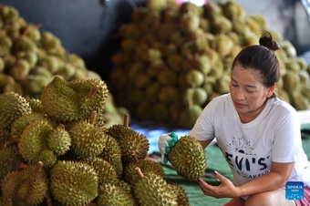 ''Vua trái cây'' Thái Lan trả giá đắt vì nắng nóng tàn khốc