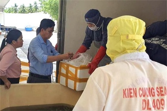 Phát hiện hơn nửa tấn tôm bơm tạp chất ở Kiên Giang