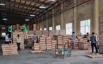 “Không có chuyện hàng trăm doanh nghiệp xuất khẩu gỗ sang Hàn Quốc sẽ phải đóng cửa”