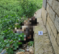 Hà Nội: Phát hiện thi thể nam giới tử vong hơn 1 tháng dưới chân cầu Long Biên
