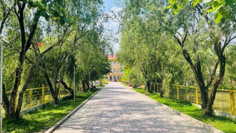 "Đất học Nam Định" có 1 ngôi trường khiến mọi trái tim phải rung rinh: Sao mà đẹp quá đỗi! Từ cổng vào xanh ngát bóng cây
